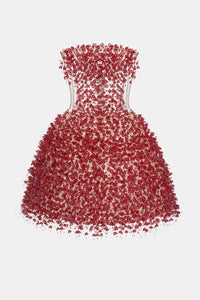Red Flowers Mini Dress - Montsand