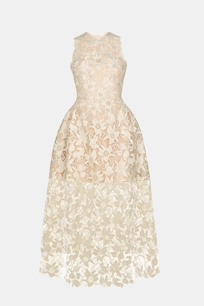 Dove Wing Lace Midi Dress