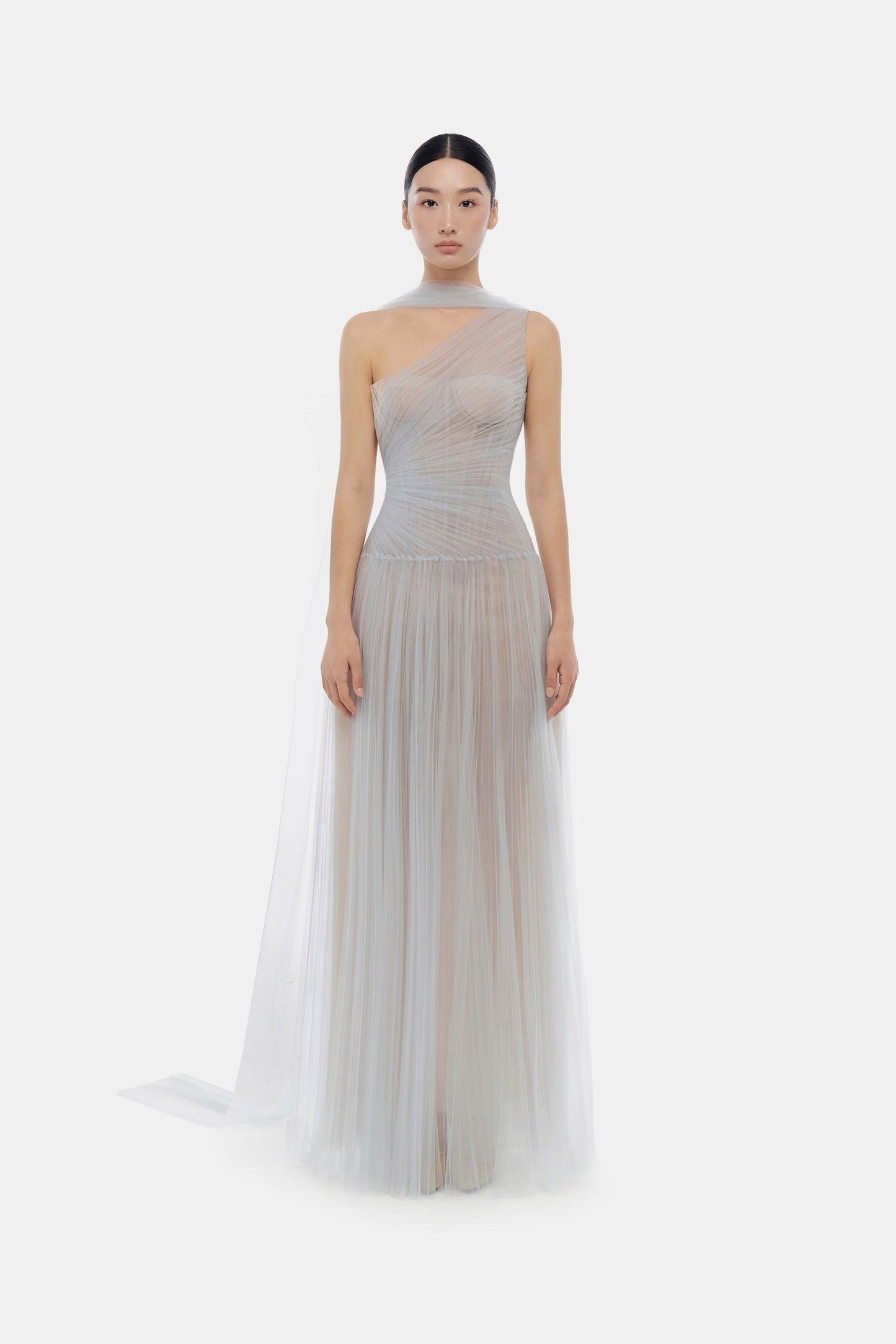 Elegant gown with sheer overlay