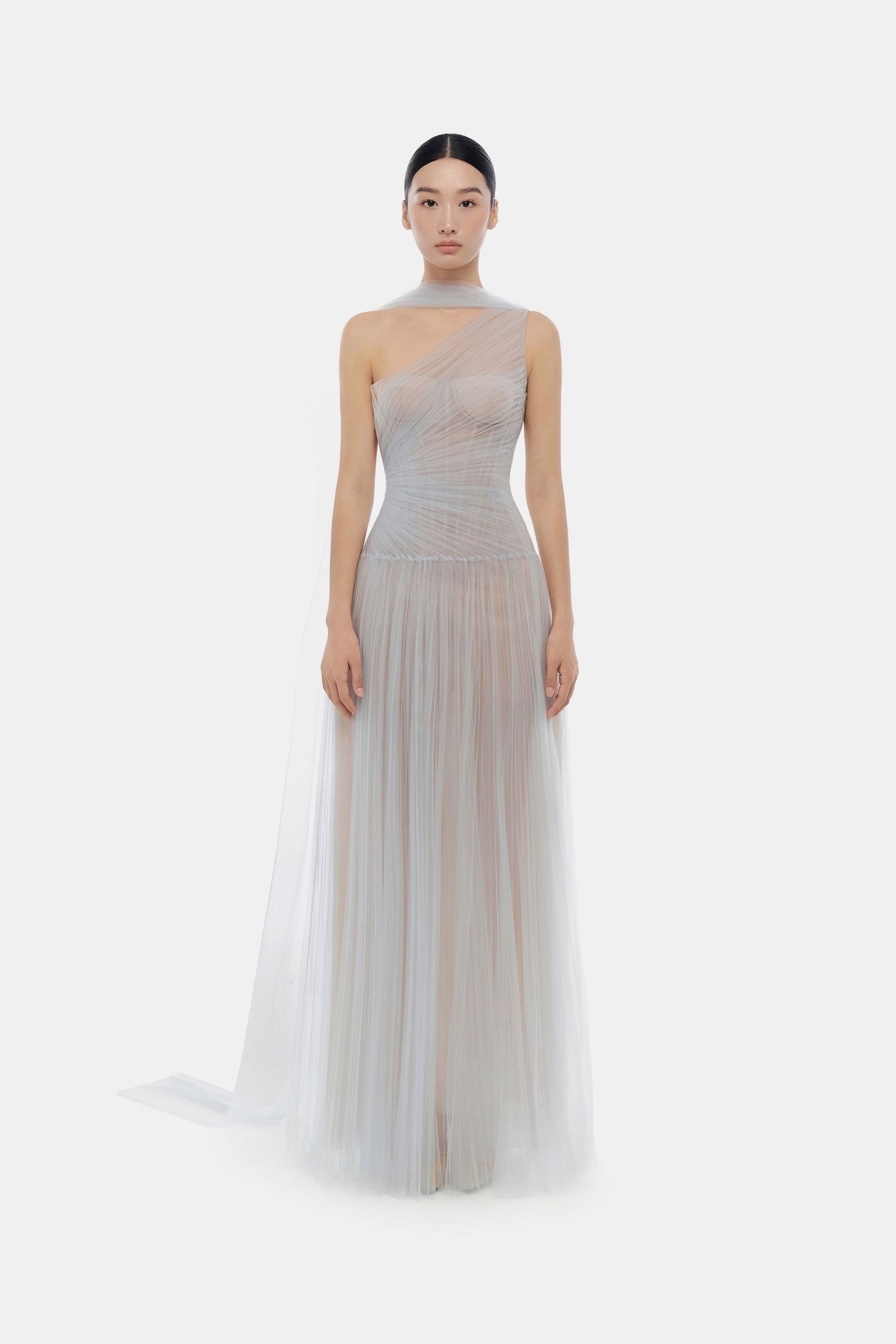 Elegant gown with sheer overlay