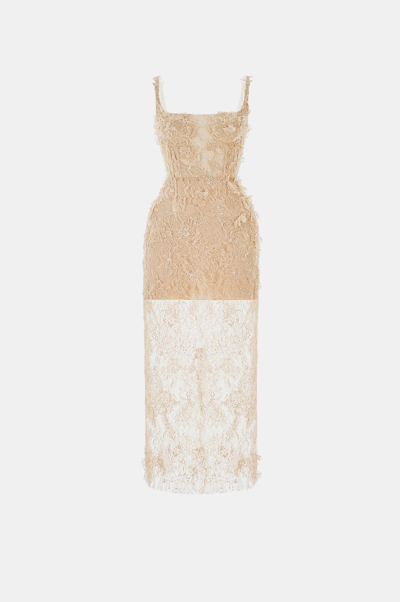 Beige Beaded Lace Fitted Dress - Montsand