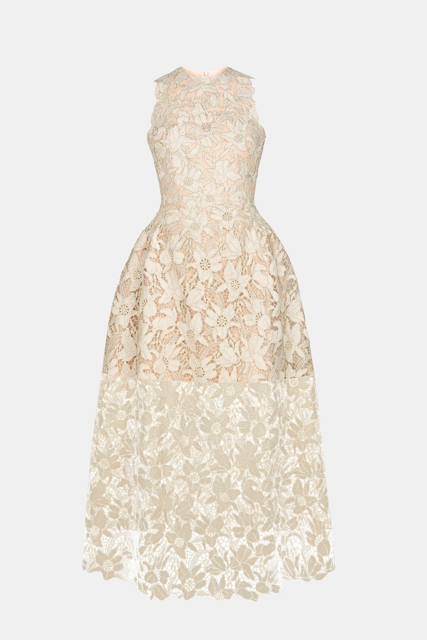 Dove Wing Lace Midi Dress - Montsand