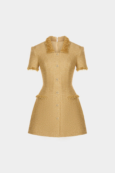 gold embellished mini dress Gold Embellished Mini Dress XS